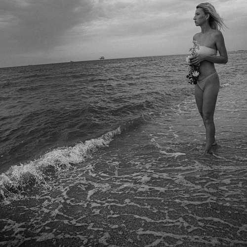 Photo #13841610
