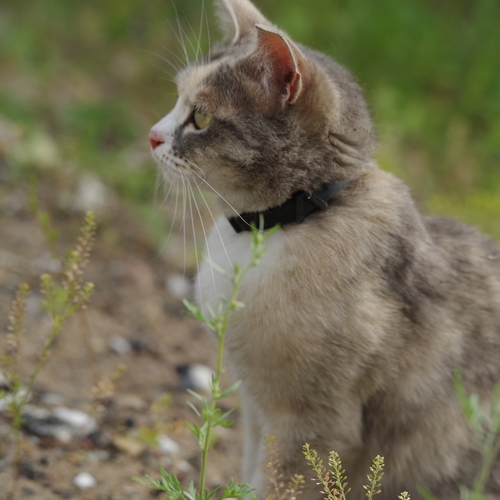 Photo #13841622