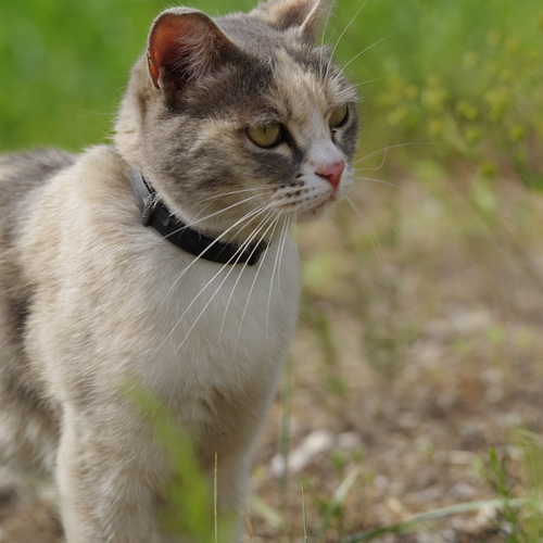 Photo #13841627