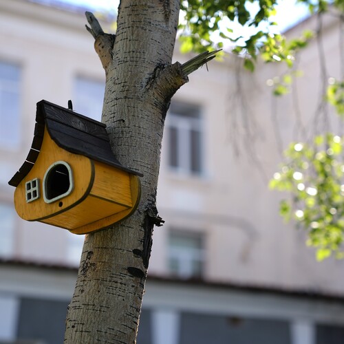 Photo #13841786