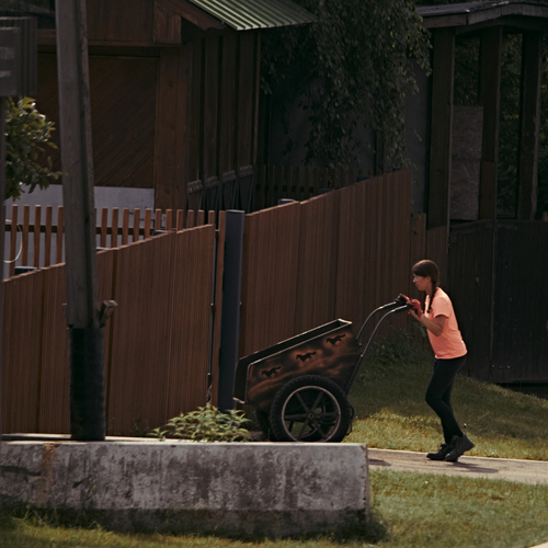 Photo #13841801