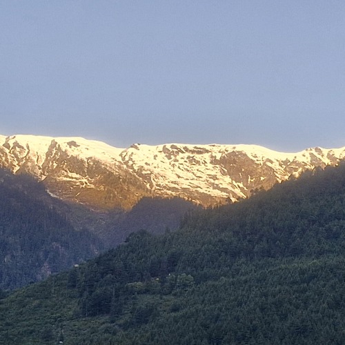 Photo #13841898