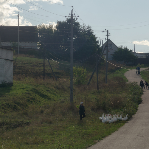 Photo #13841953