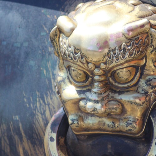 Photo #13841984