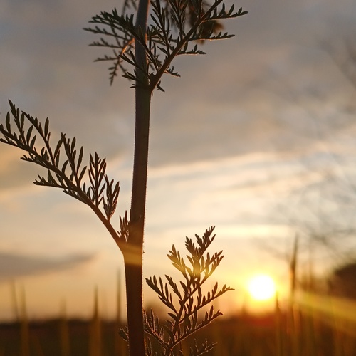 Photo #13842057