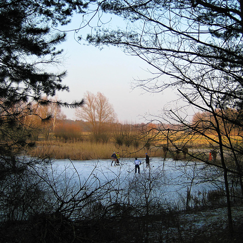 Photo #13842069