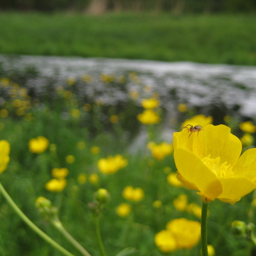 Photo #13842095