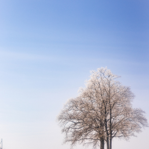 Photo #13842110