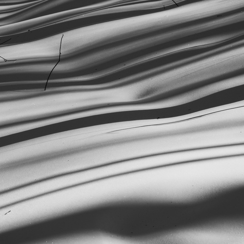 Photo #13842202