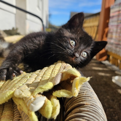 Photo #13842231