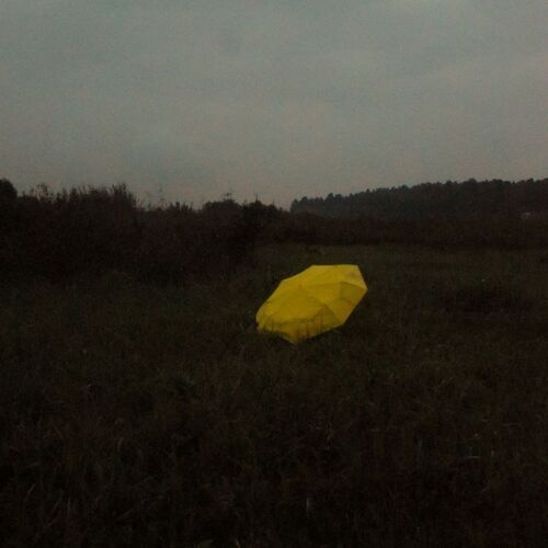 Photo #13842280
