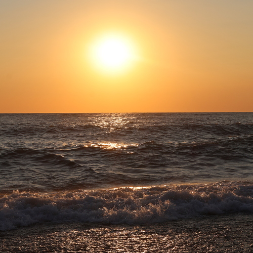 Photo #13842283