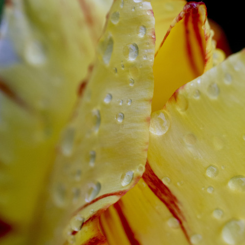 Photo #13842301