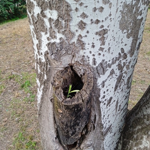 Photo #13842334