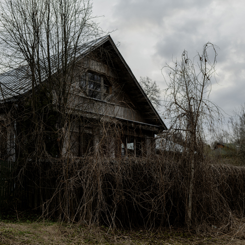 Photo #13842346