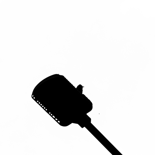 Photo #13842379