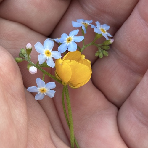 Photo #13842430