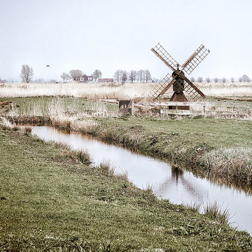Photo #13842449
