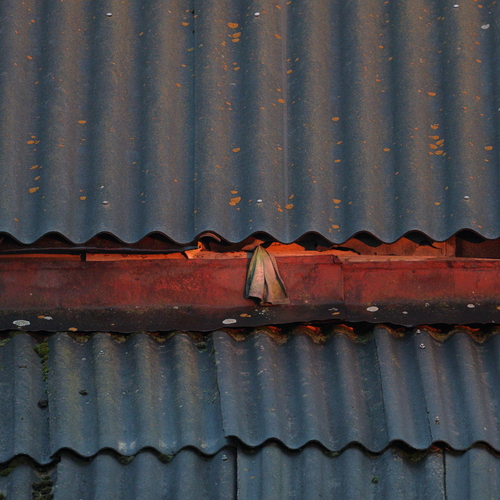 Photo #13842513