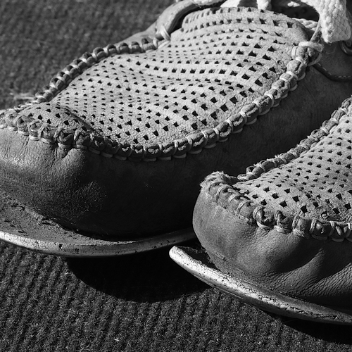 Photo #13842516