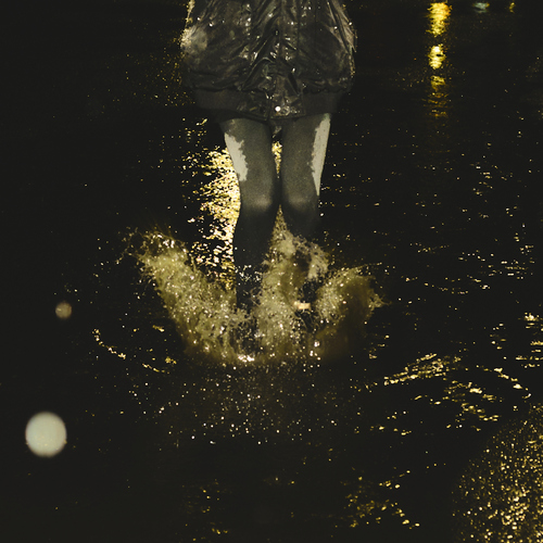 Photo #13842555