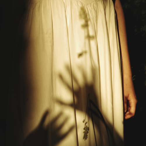 Photo #13842561