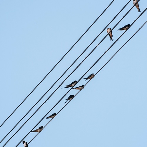 Photo #13842774