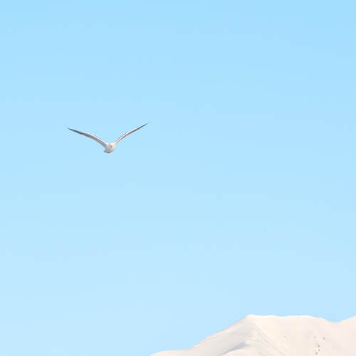 Photo #13842793