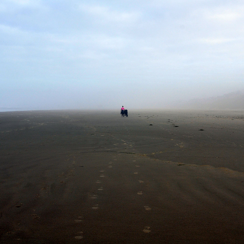 Photo #13842795