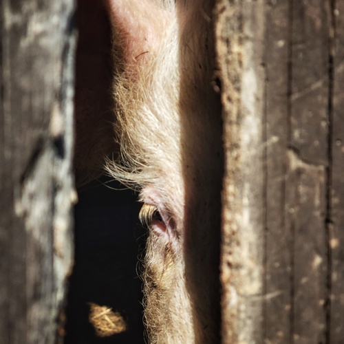 Photo #13842808
