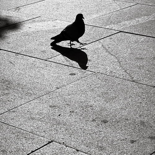 Photo #13842833