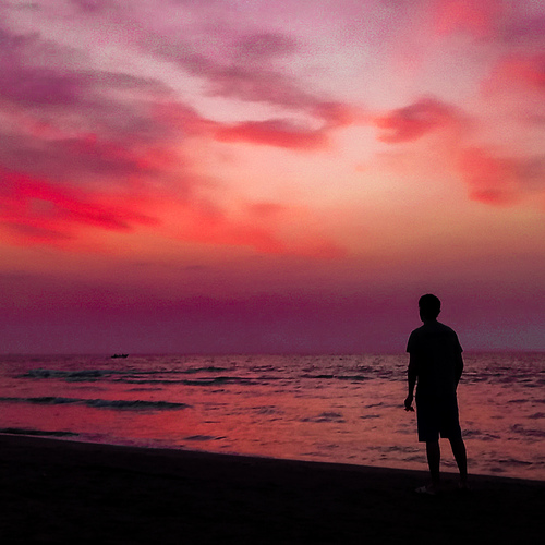 Photo #13842936