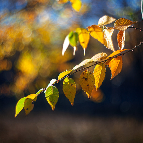 Photo #13842957