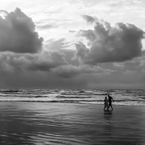 Photo #13842958