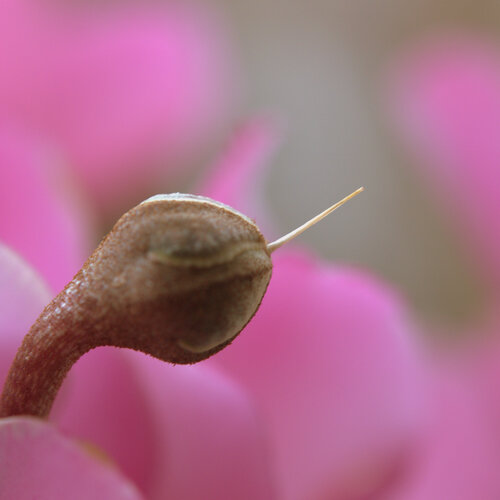 Photo #13843004