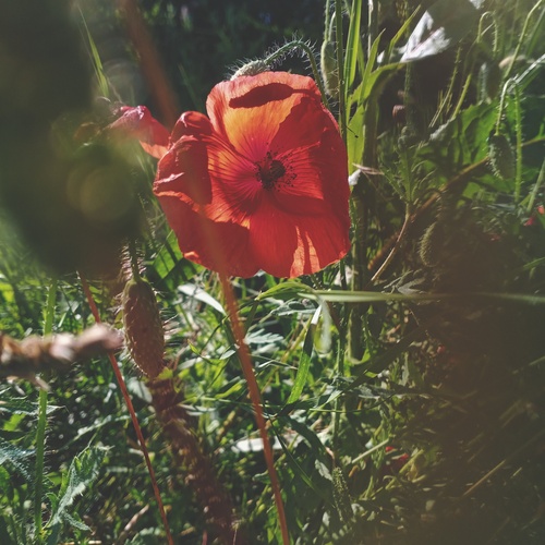 Photo #13843040