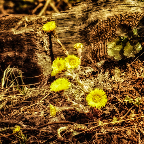 Photo #13843053