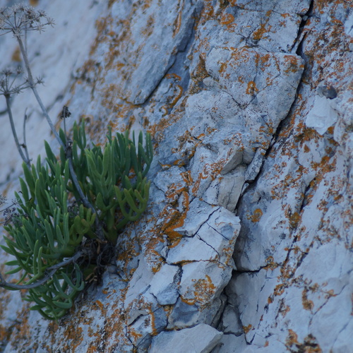 Photo #13843086