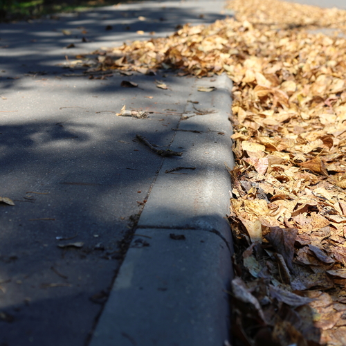 Photo #13843144
