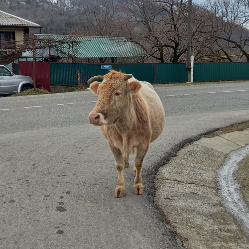 Photo #13843158