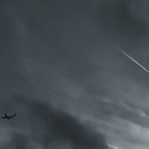 Photo #13843185