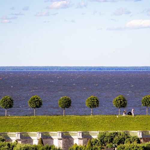 Photo #13843242