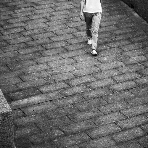 Photo #13843290