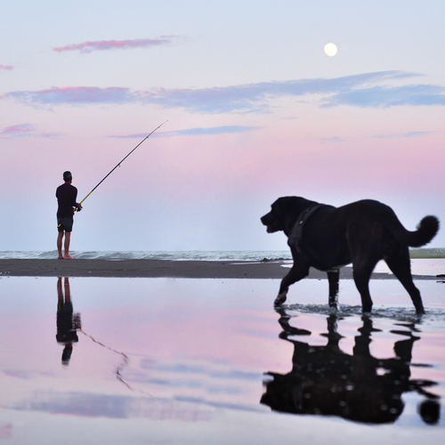 Photo #13843304