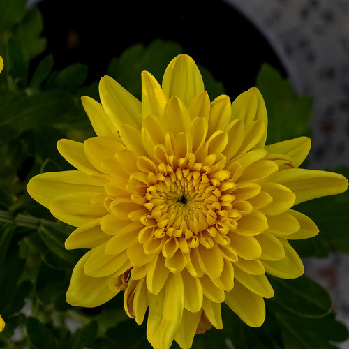 Photo #13843388