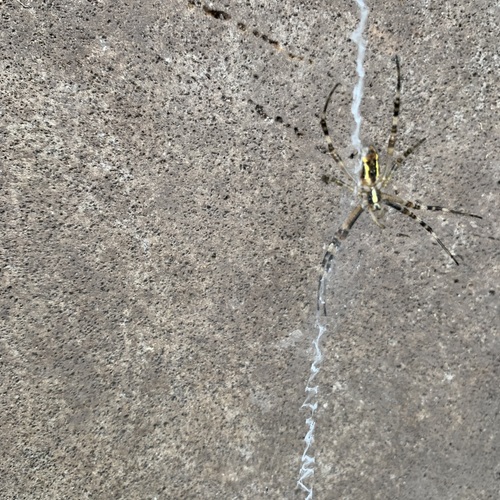 Photo #13843406