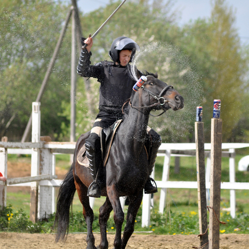 Photo #13843454
