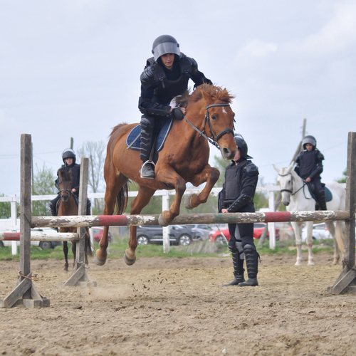Photo #13843455