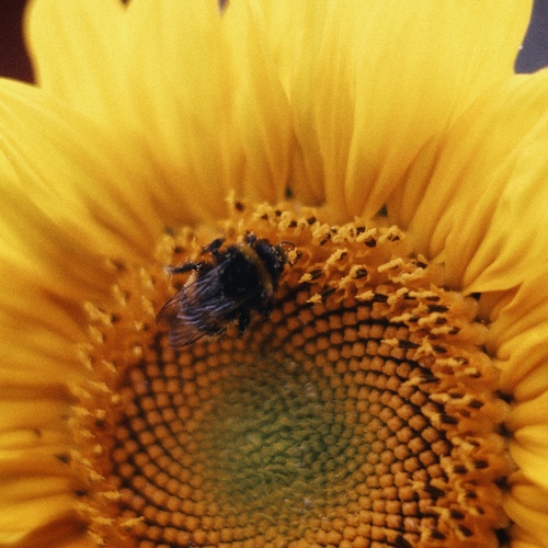 Photo #13843465