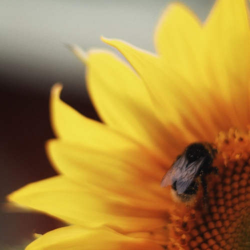 Photo #13843466